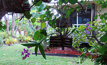Beautiful Grounds